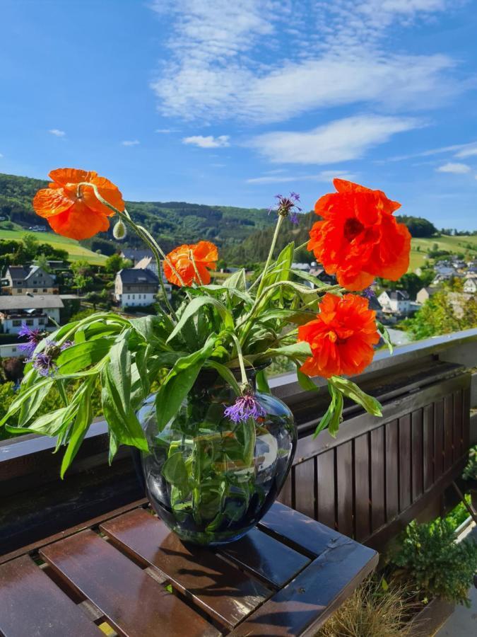 Panoramablick Willingen Schwalefeld Διαμέρισμα Εξωτερικό φωτογραφία
